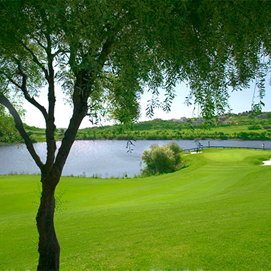 Almenara Golf Sotogrande 