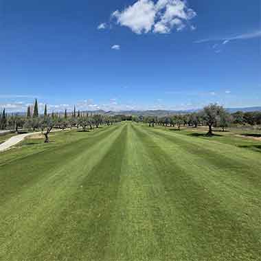 Lauro-Golf